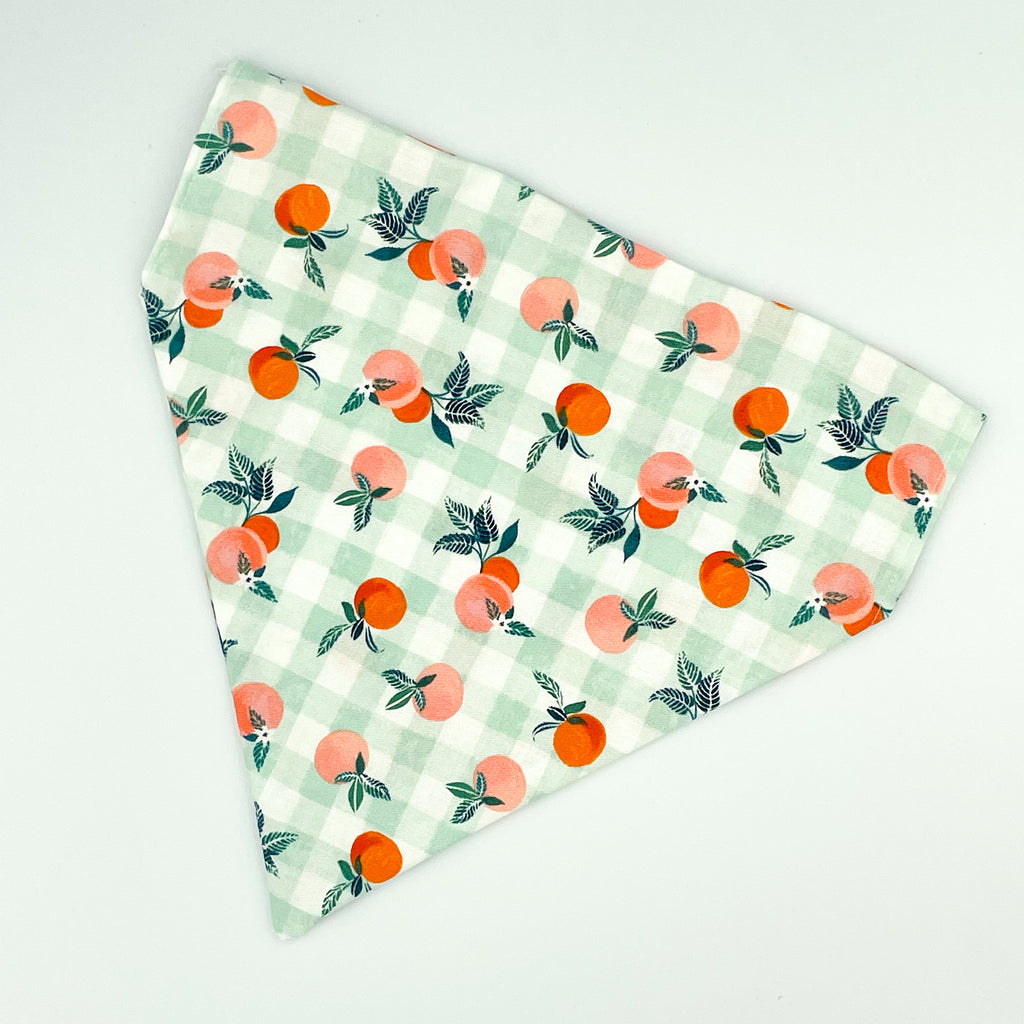 Pup Package: Bandana Edition