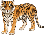 Back To School Digital Sticker Pack