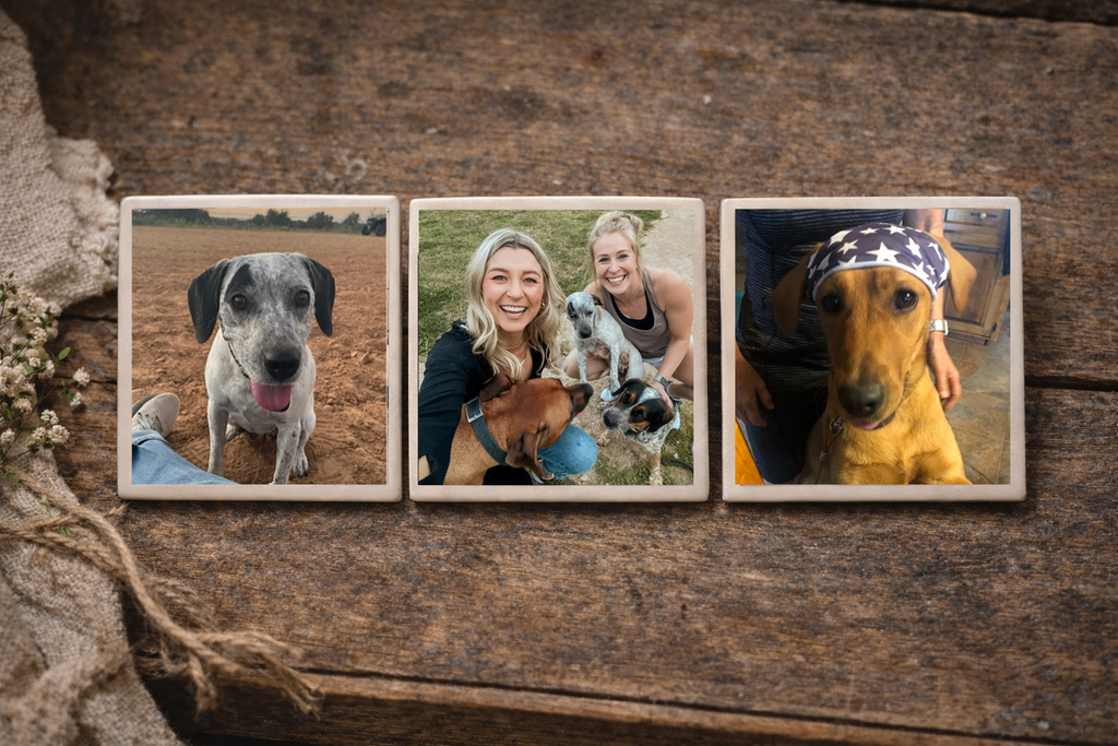 Pup Package: Hearts Bandana Edition